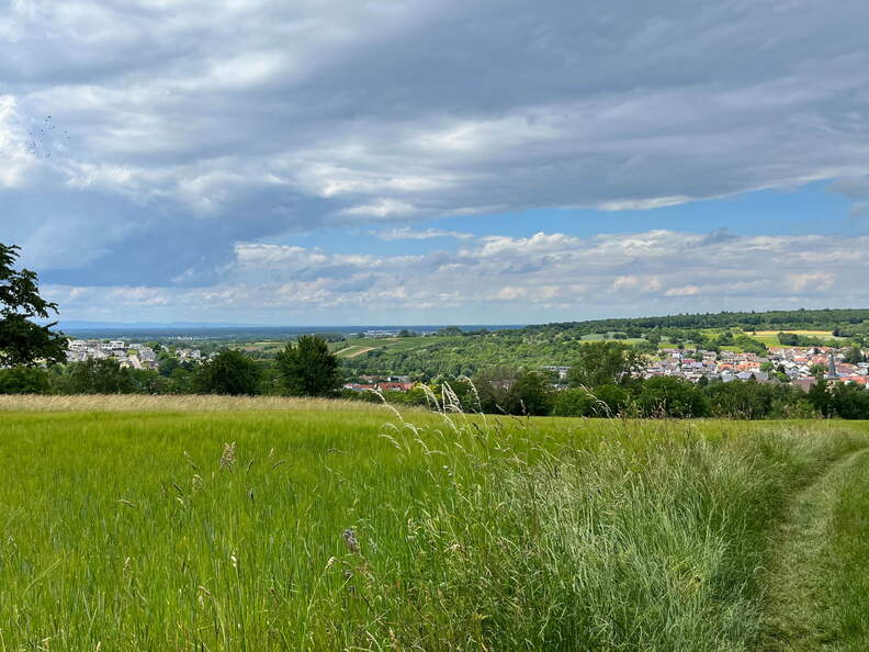 22-06-06 14-49-54 1072